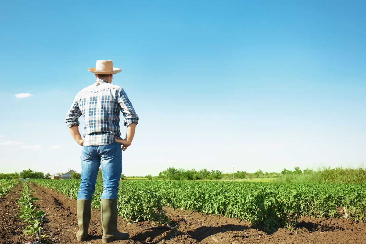 mejores prácticas de cultivo hortofrutícola