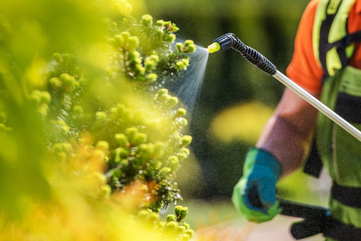 Las mejores prácticas de cultivo hortofrutícola - Fertilización Equilibrada