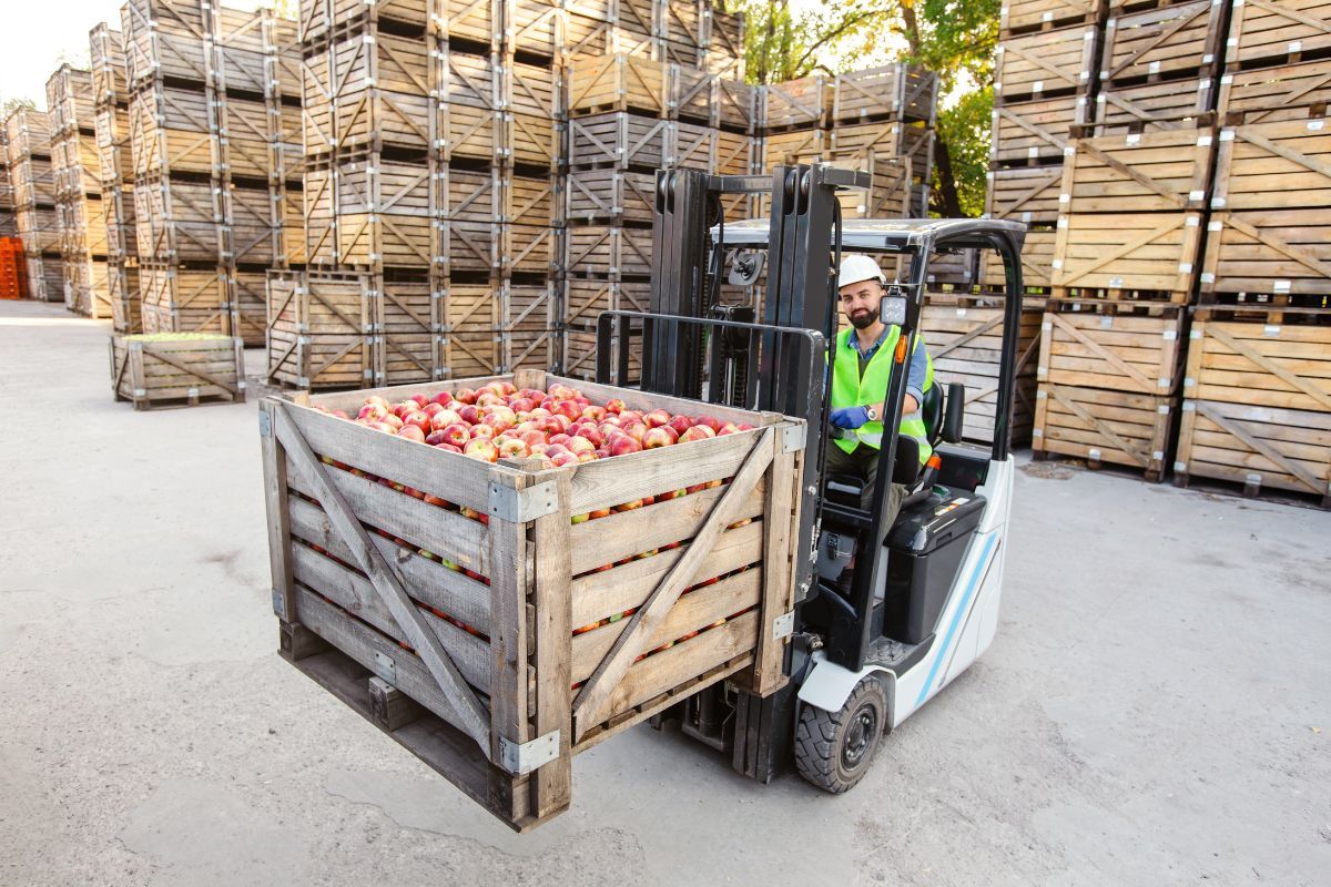 Las mejores prácticas de cultivo hortofrutícola - Manejo del Post-Cosecha