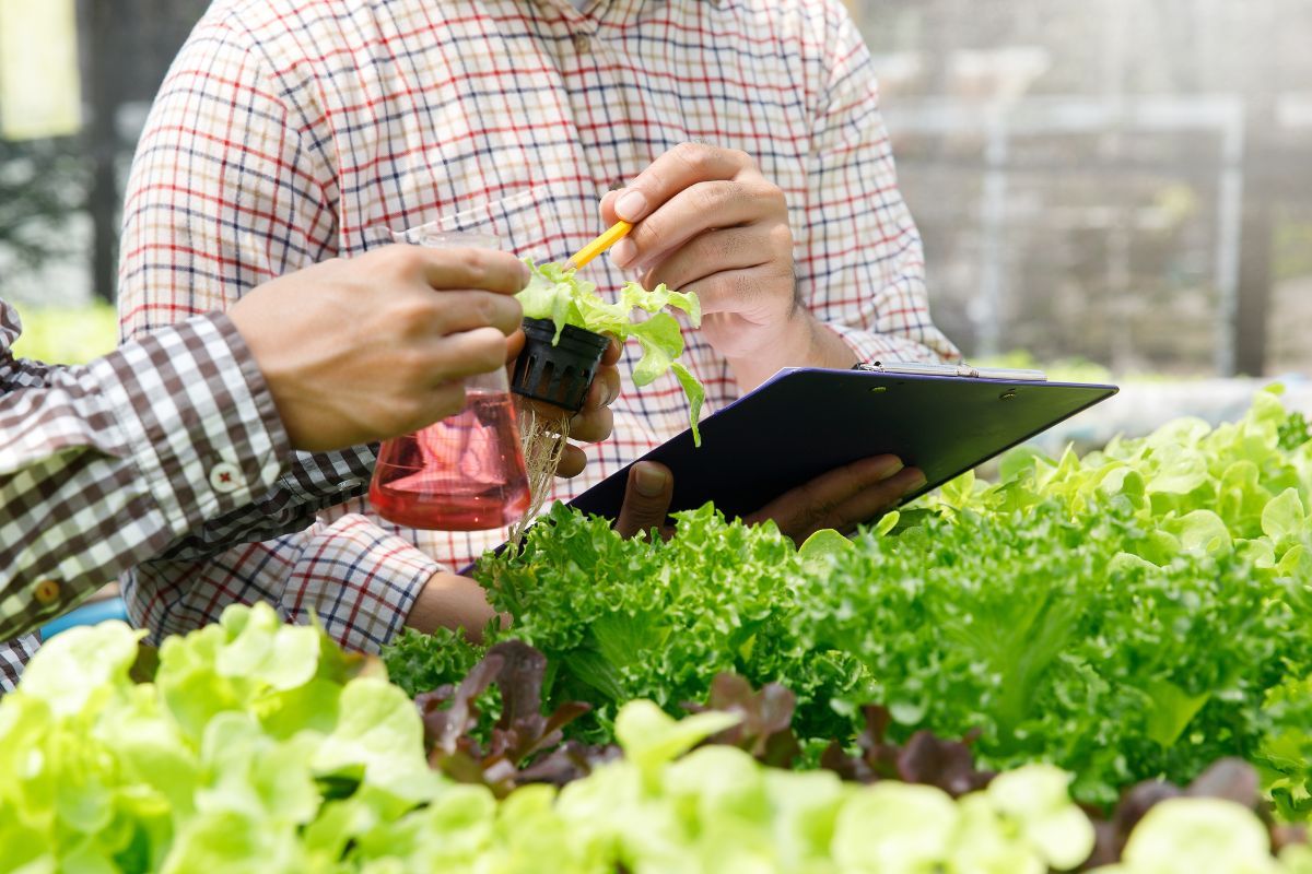 Las mejores prácticas de cultivo hortofrutícola - Monitoreo y Registro de Datos