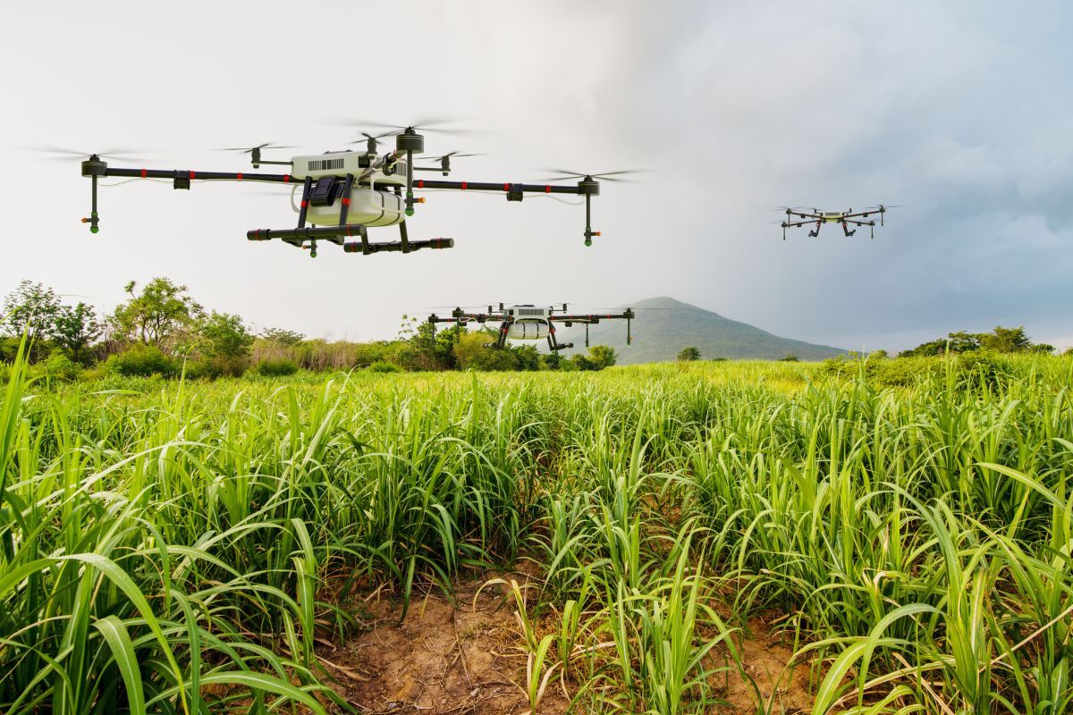 Las mejores prácticas de cultivo hortofrutícola - Tecnologías en la Agricultura Hortofrutícola