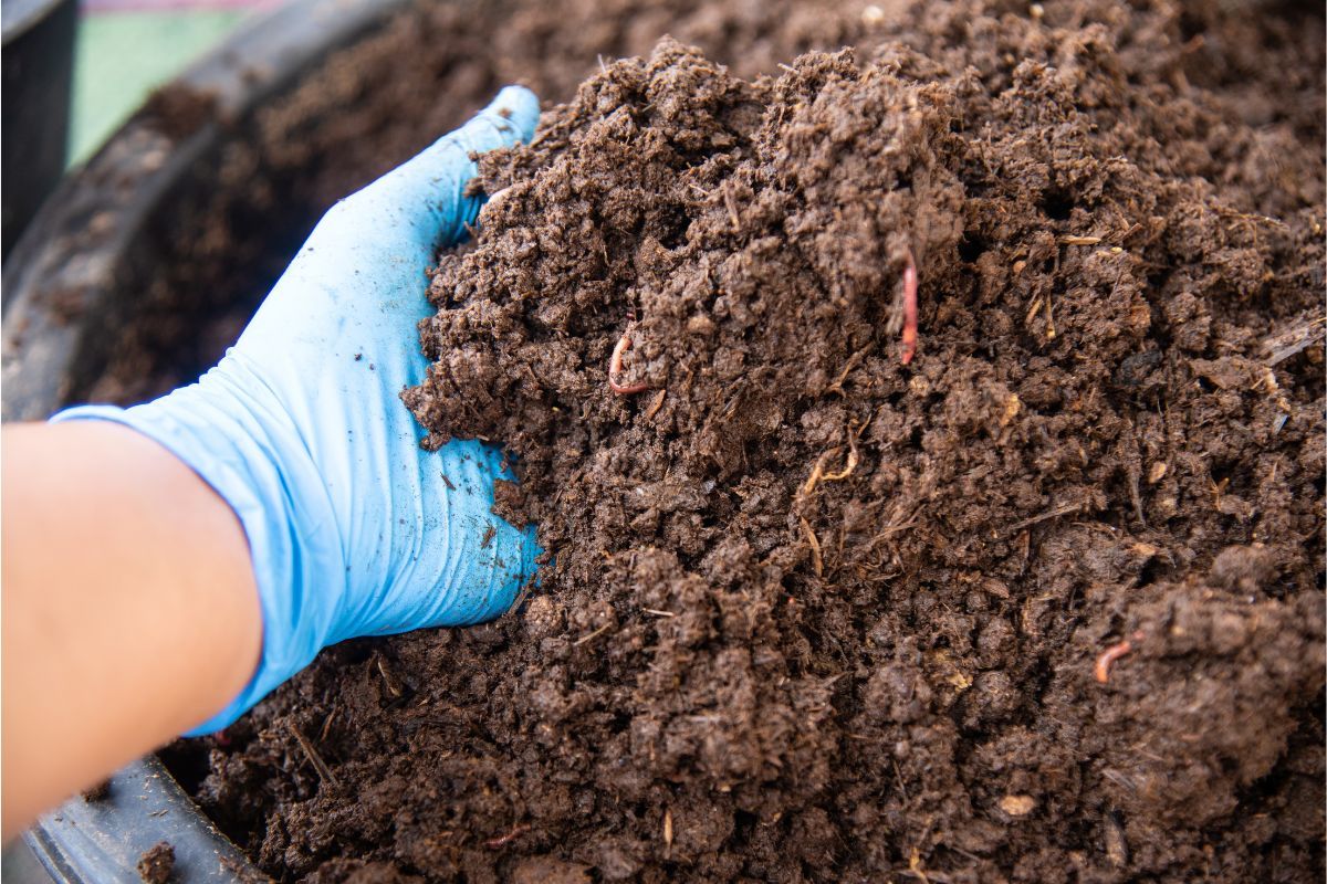 Fertilizantes ecológicos